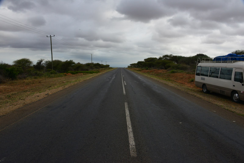 p DSC_7354