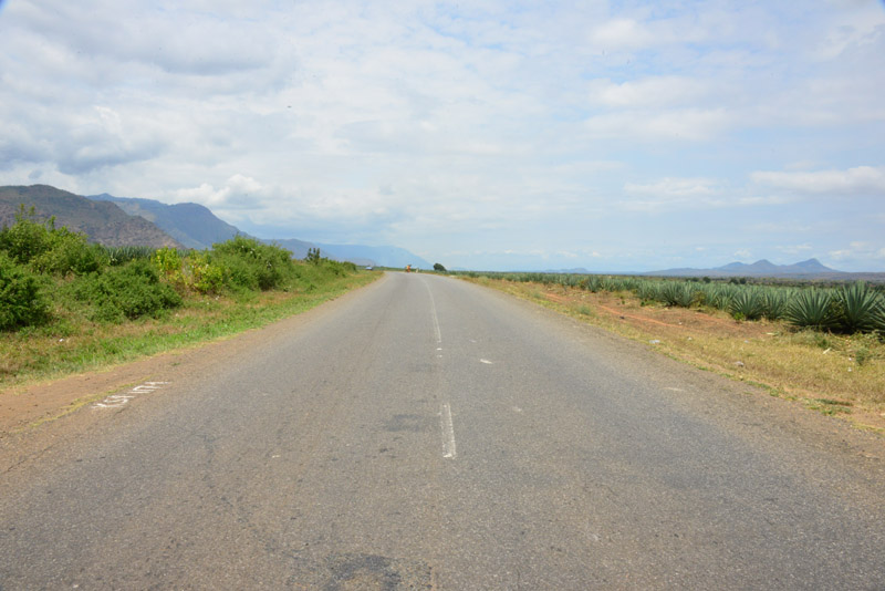 p DSC_7398
