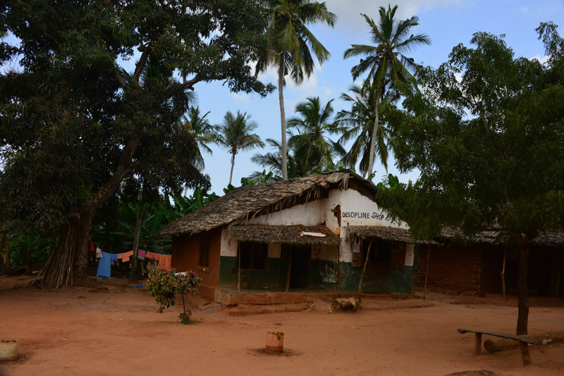 p DSC_7563