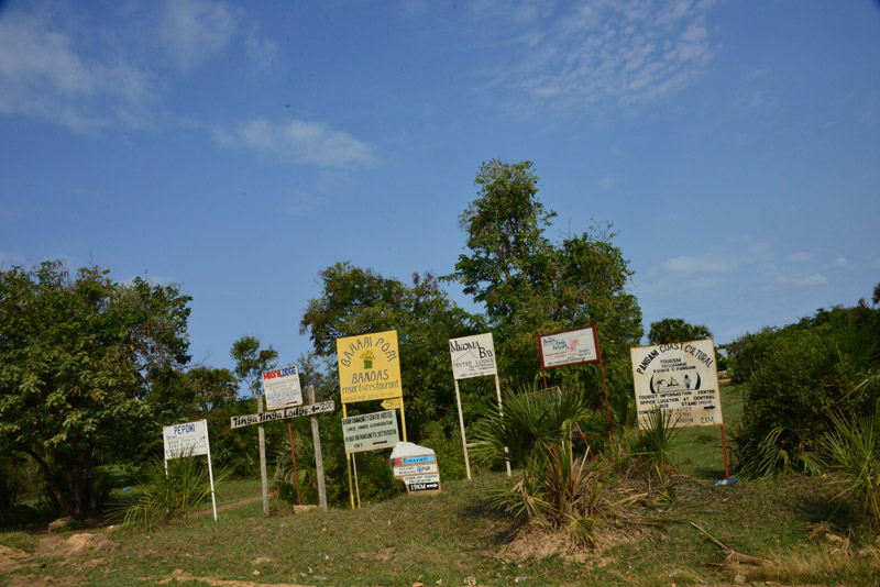 p DSC_7589