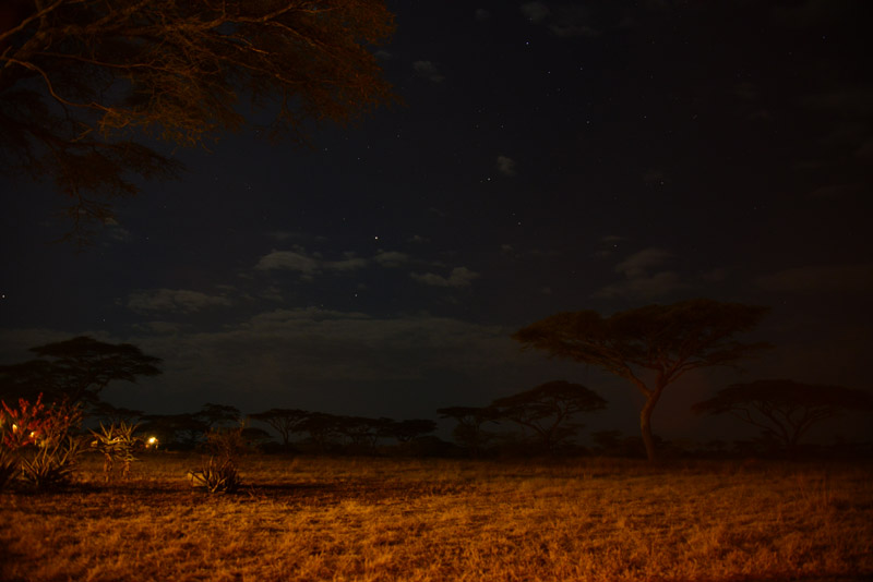 ok DSC_6506
