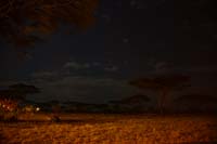 ok DSC_6506