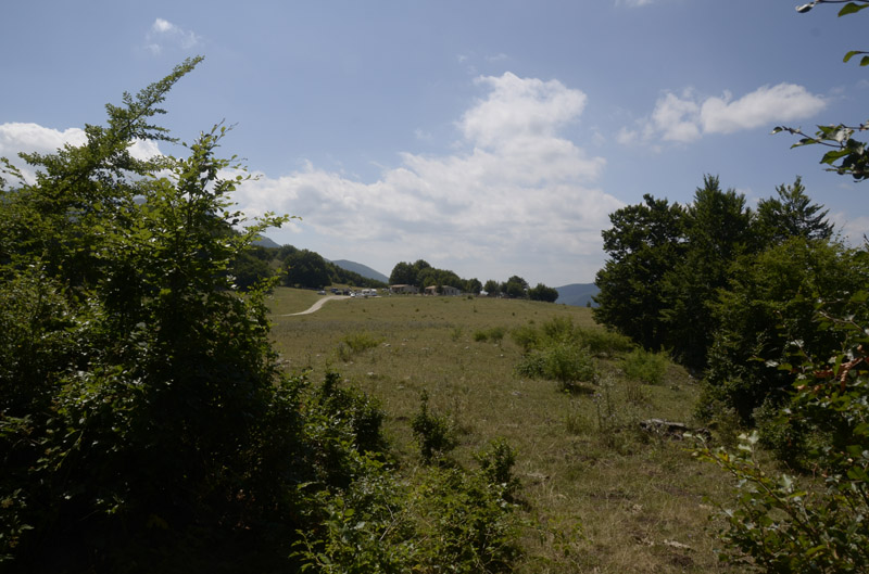 sopravvivenza 2012 - 0005