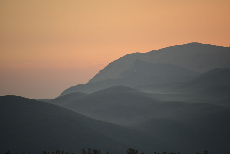 sopravvivenza 2012 - 0018