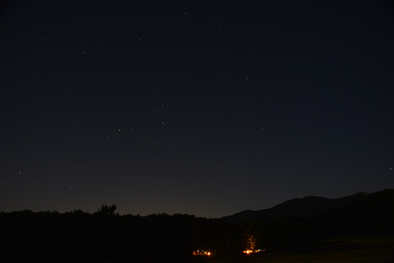 sopravvivenza 2012 - 0309