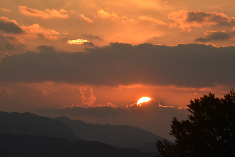 sopravvivenza 2012 - 0517