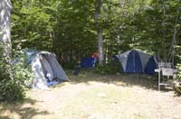sopravvivenza 2012 - 0003