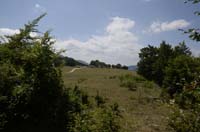 sopravvivenza 2012 - 0005