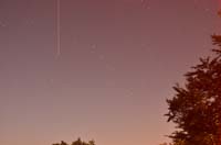 sopravvivenza 2012 - 0432