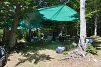 sopravvivenza 2012 - 0465