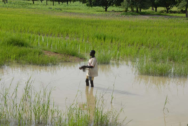burkina faso - 2007- 0066