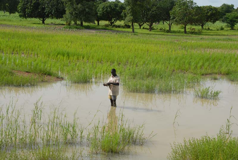 burkina faso - 2007- 0068