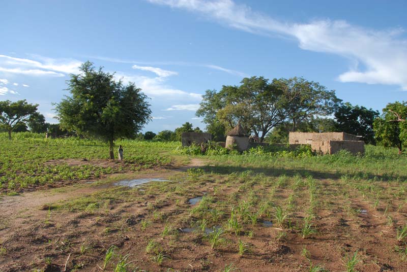 burkina faso - 2007- 0149