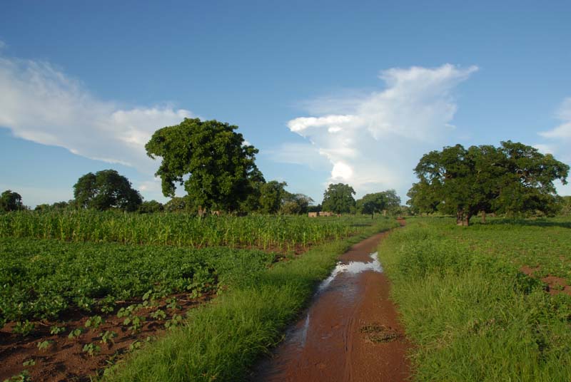 burkina faso - 2007- 0150