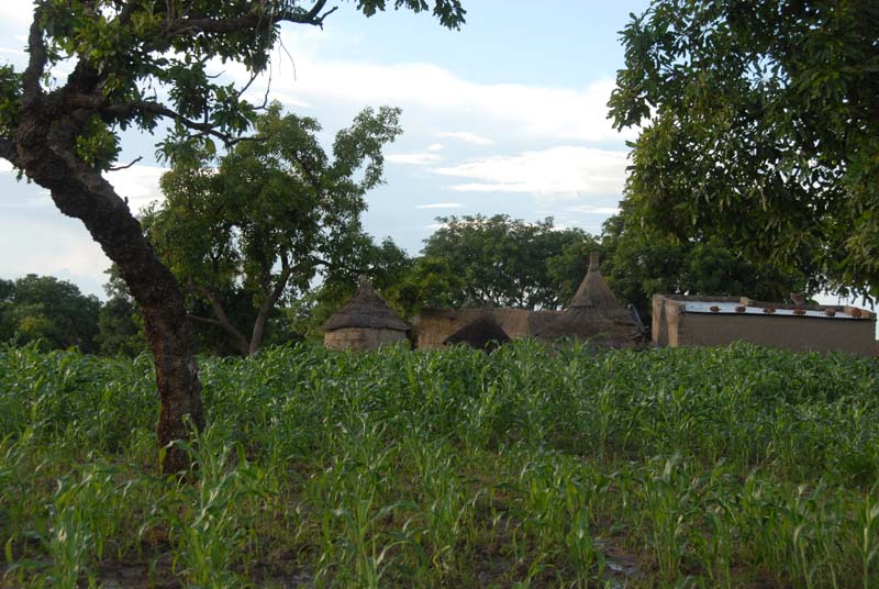 burkina faso - 2007- 0151