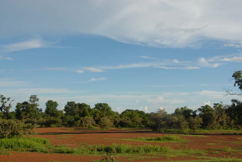 burkina faso - 2007- 0158