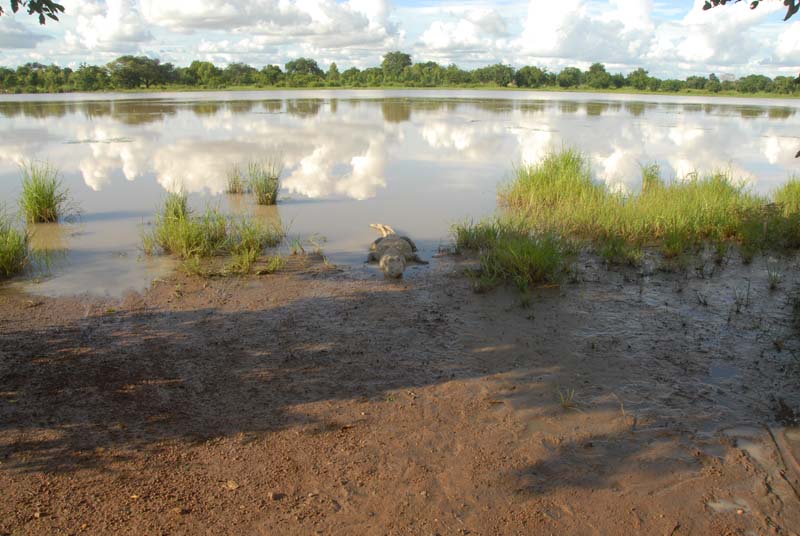 burkina faso - 2007- 0225