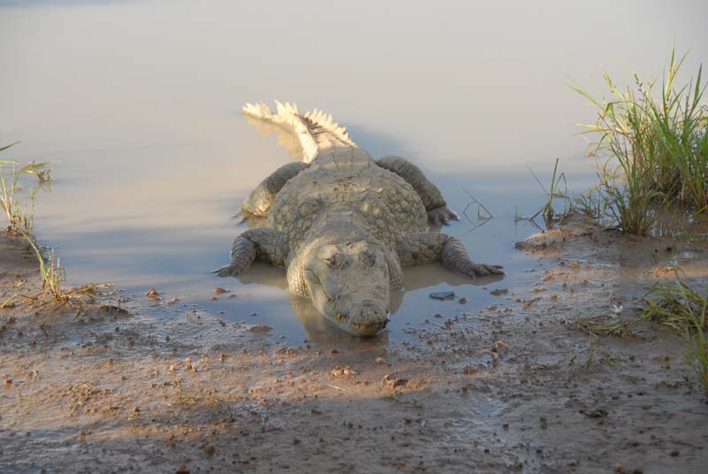 burkina faso - 2007- 0226