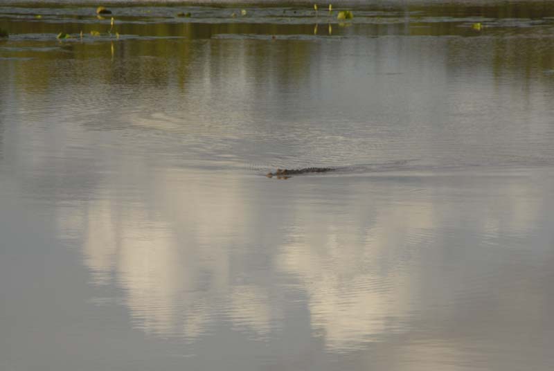 burkina faso - 2007- 0227