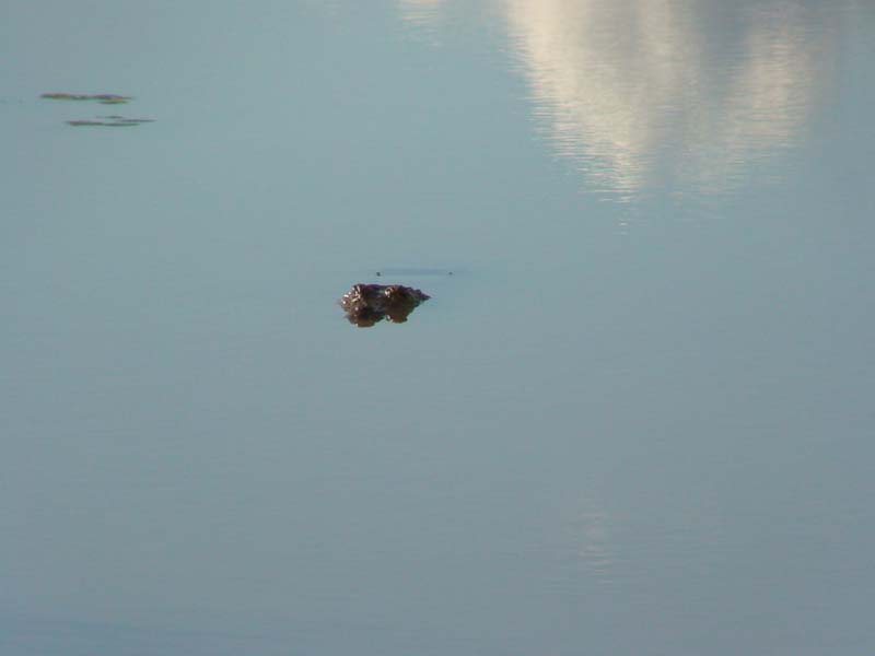 burkina faso - 2007- 0234