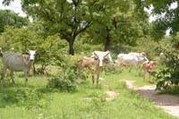 burkina faso - 2007- 0026