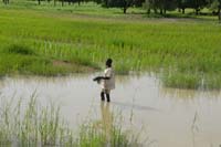 burkina faso - 2007- 0066