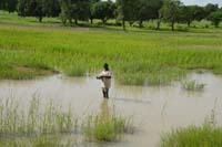 burkina faso - 2007- 0068