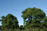burkina faso - 2007- 0112