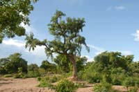 burkina faso - 2007- 0144