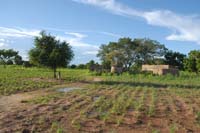burkina faso - 2007- 0149