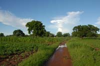 burkina faso - 2007- 0150