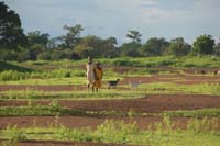 burkina faso - 2007- 0154
