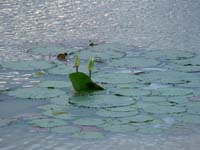 burkina faso - 2007- 0168