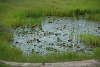 burkina faso - 2007- 0172