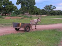 burkina faso - 2007- 0202