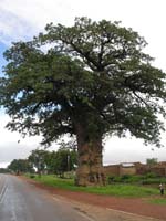 burkina faso - 2007- 0207