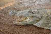 burkina faso - 2007- 0224