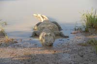 burkina faso - 2007- 0226