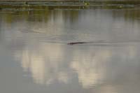 burkina faso - 2007- 0227