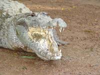 burkina faso - 2007- 0235