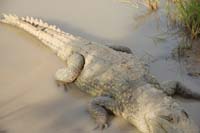 burkina faso - 2007- 0238