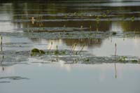 burkina faso - 2007- 0244