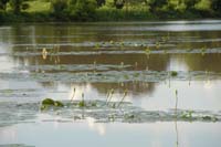 burkina faso - 2007- 0245