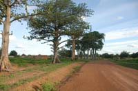 burkina faso - 2007- 0398