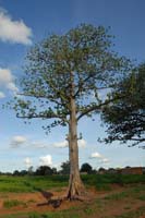 burkina faso - 2007- 0400