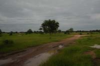 gruppo di lavoro - burkina faso - 2007 - 00272