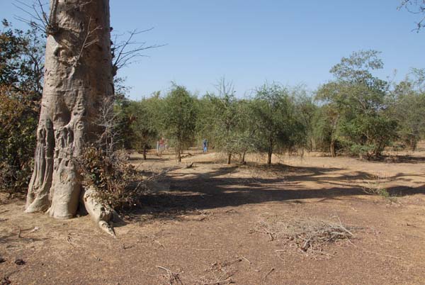 Burkina Faso - Natale 2007- gennaio 2008 - progetto ouatara - foto0774