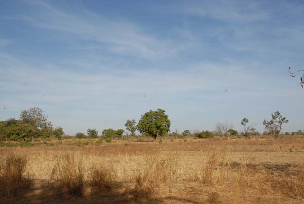 Burkina Faso - Natale 2007- gennaio 2008 - progetto ouatara - foto0850