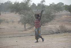 Burkina Faso - Natale 2007- gennaio 2008 - progetto ouatara - foto0503