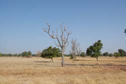 Burkina Faso - Natale 2007- gennaio 2008 - progetto ouatara - foto0525